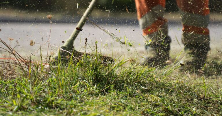 corte de grama em Recife