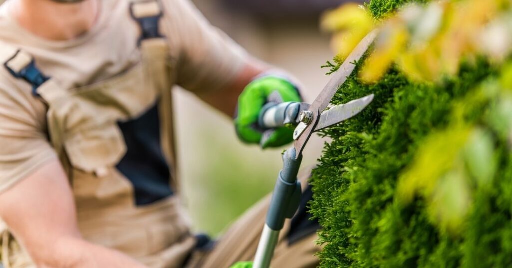 manutenção de áreas verdes em Recife