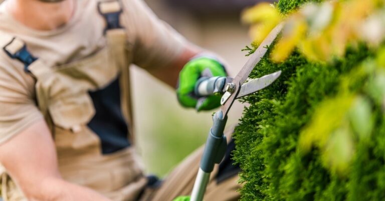 manutenção de áreas verdes em Recife